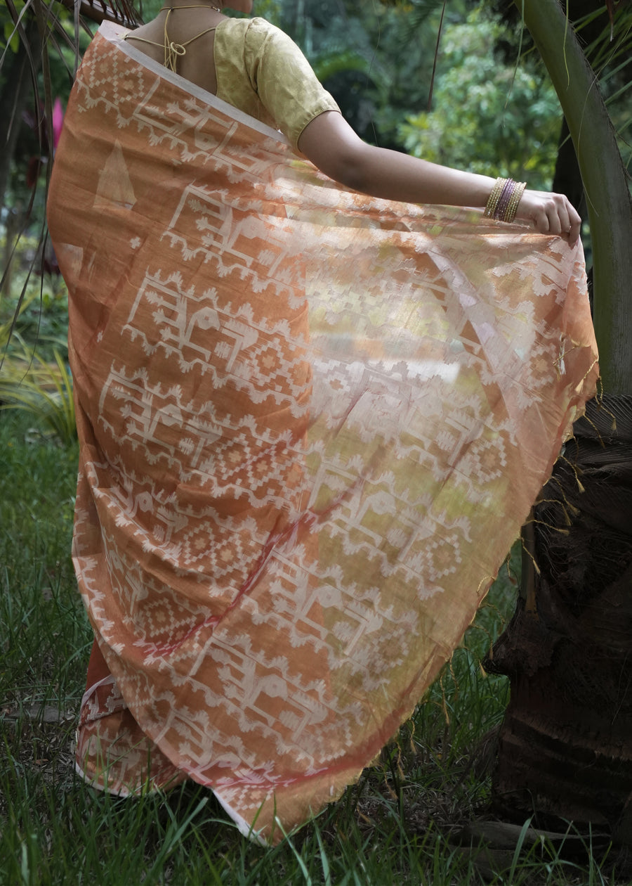 Copper Tissue Saree