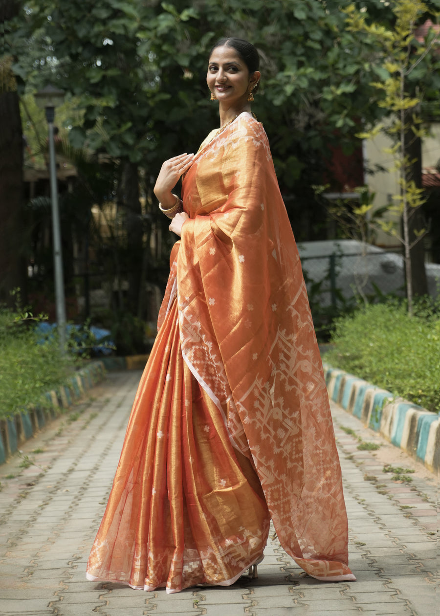 Copper Tissue Saree